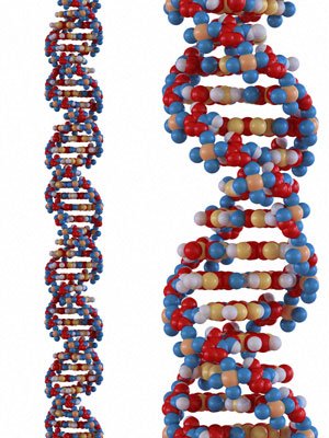 DNA